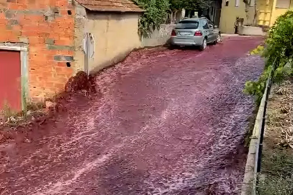 fiume di vino