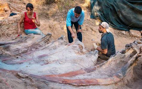 dinosauro più grande d'europa portogallo