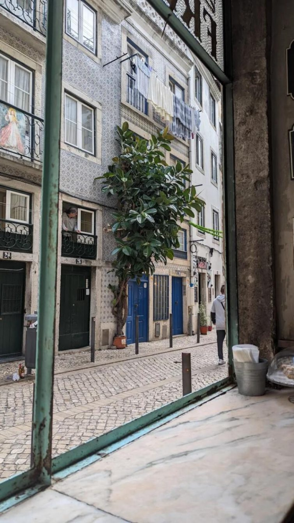 La pianta gigante della Mouraria: il monumento segreto di Lisbona