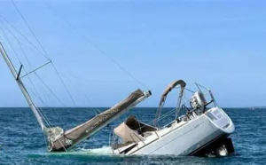 Un attacco di orche ha fatto affondare un veliero a Caparica
